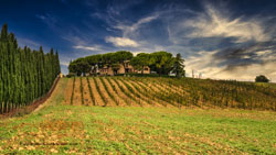 toscana 